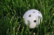 White Plastic Wiffle Golf Ball - 30W x 20H - Peel and Stick Wall Decal by Wallmonkeys